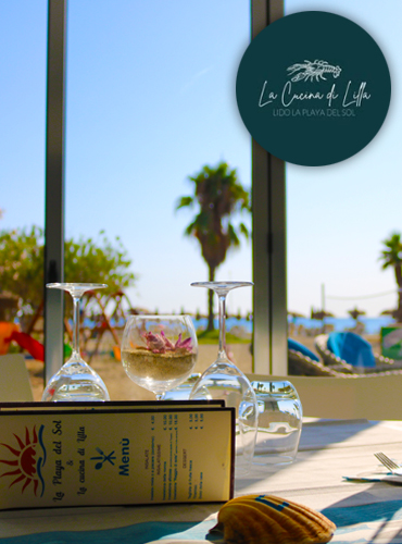 logo-la-playa-del-sol